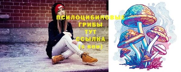трава Верхний Тагил