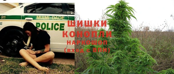 мдпв Верея