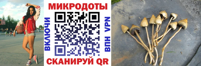 МЕГА ССЫЛКА  Тотьма  Псилоцибиновые грибы GOLDEN TEACHER 